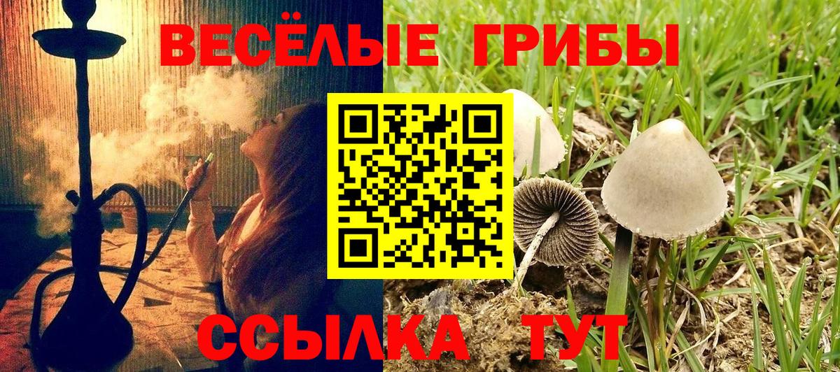 Галлюциногенные грибы GOLDEN TEACHER  Вход с VPN  Зеленокумск 